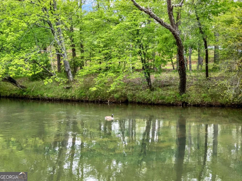 5 W Muller lane Ellijay, GA 30540