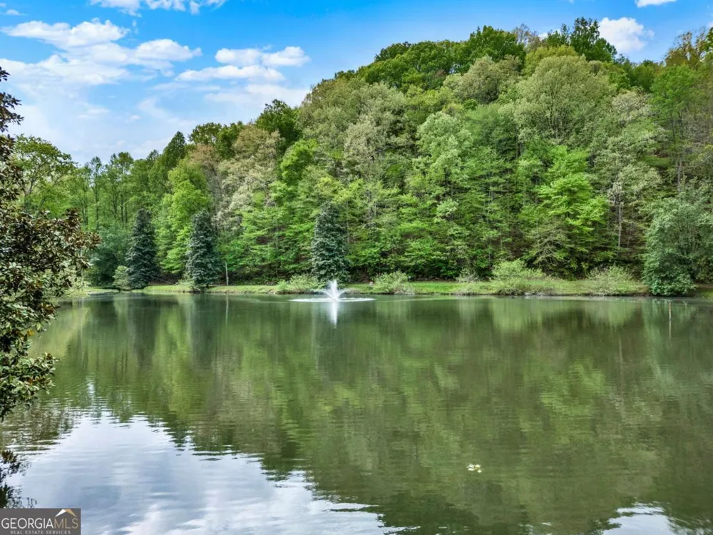 5 W Muller lane Ellijay, GA 30540
