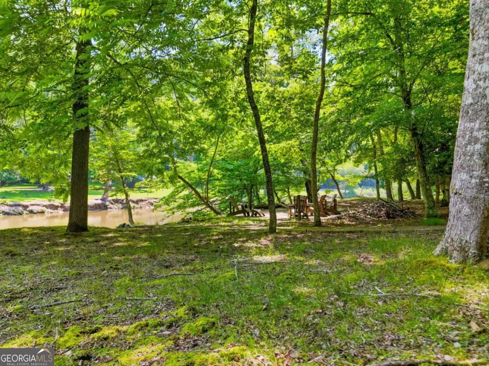 5 W Muller lane Ellijay, GA 30540