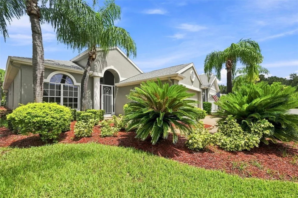 9303 ALCOTT WAY Trinity, FL 34655