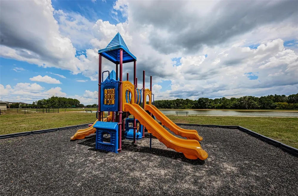 9303 ALCOTT WAY Trinity, FL 34655