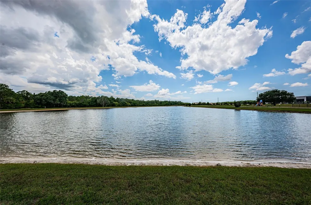 9303 ALCOTT WAY Trinity, FL 34655