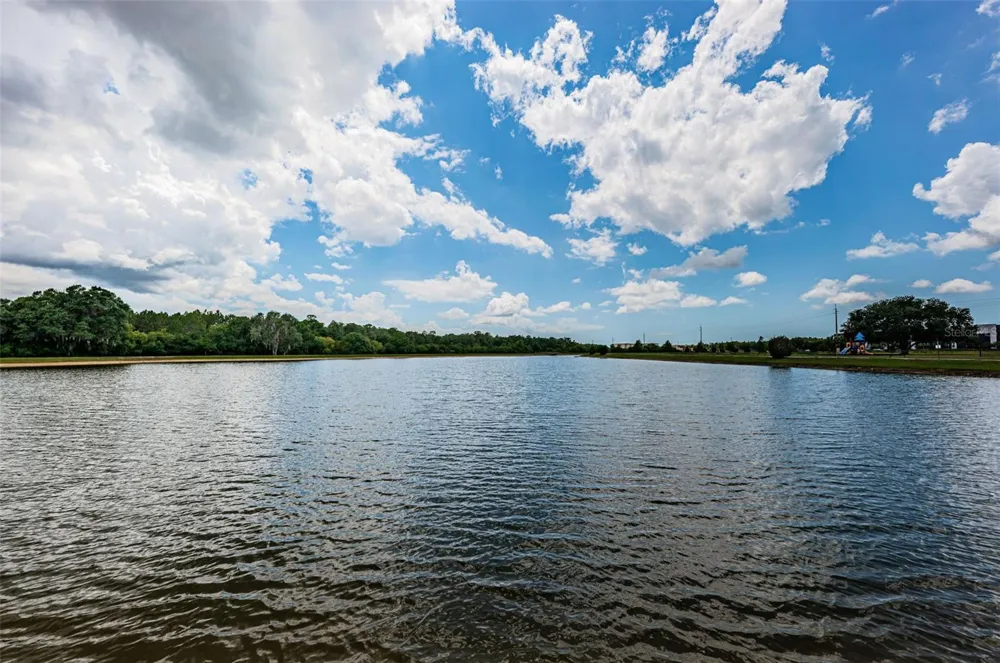 9303 ALCOTT WAY Trinity, FL 34655