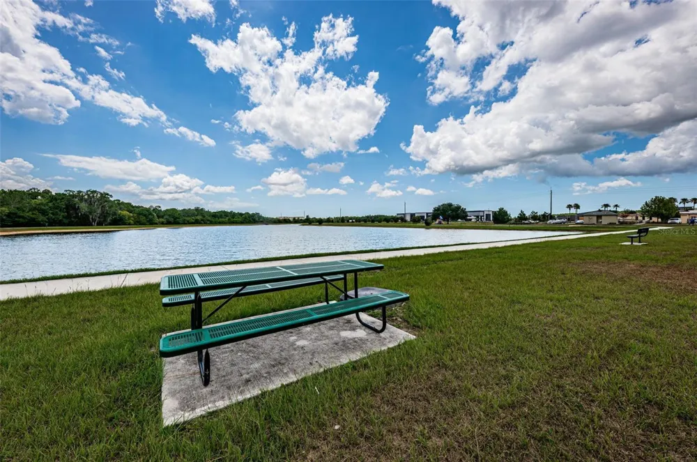 9303 ALCOTT WAY Trinity, FL 34655