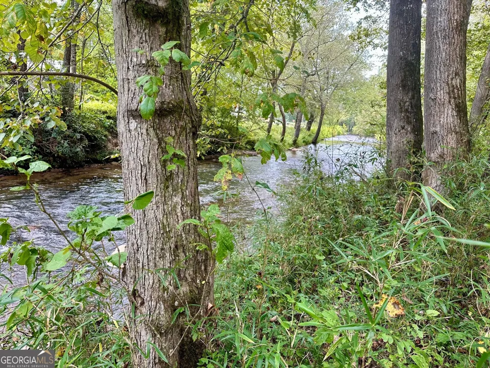 0 TBD Creekfront Lane Hayesville, NC 28904