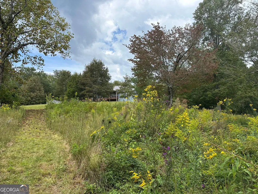 0 TBD Creekfront Lane Hayesville, NC 28904