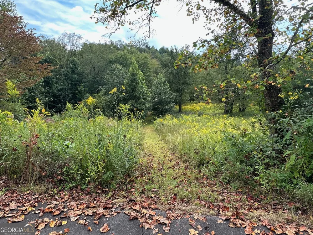 0 TBD Creekfront Lane Hayesville, NC 28904