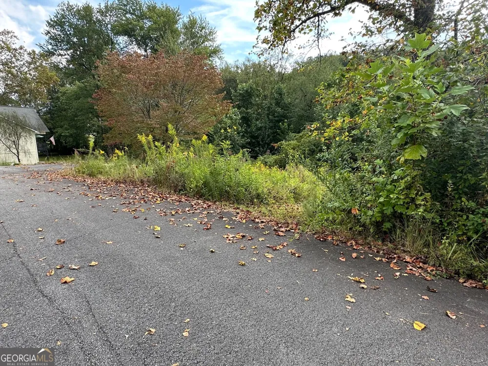 0 TBD Creekfront Lane Hayesville, NC 28904