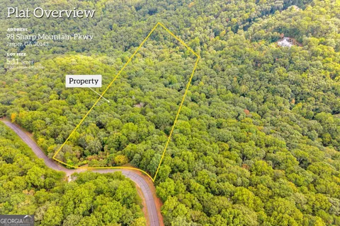 98 Sharp Mountain PKWY