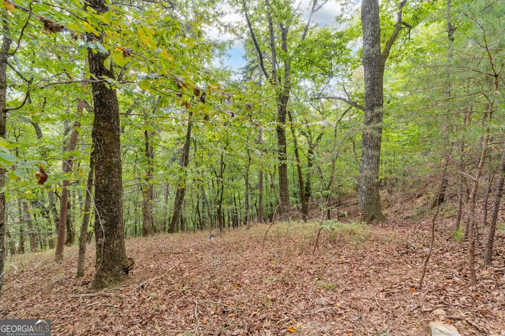 98 Sharp Mountain PKWY Jasper, GA 30143