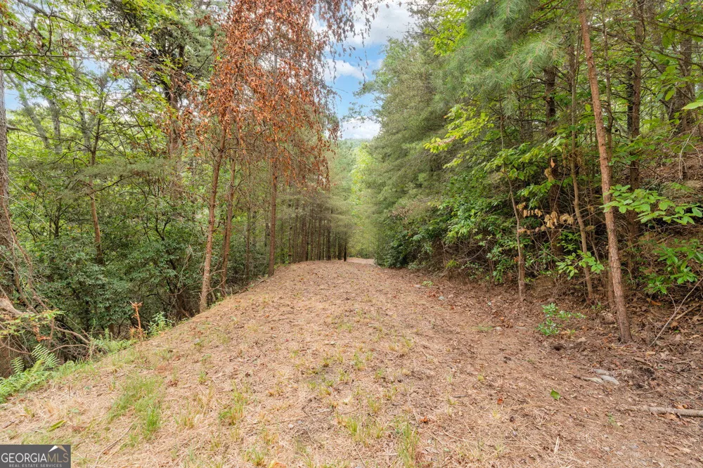 98 Sharp Mountain PKWY Jasper, GA 30143