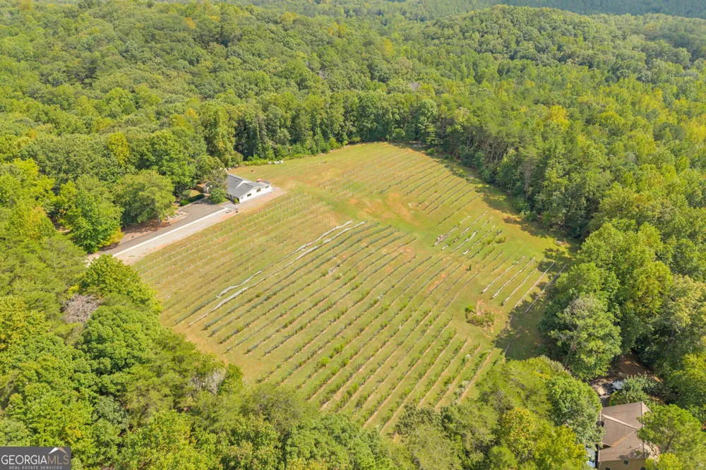 98 Sharp Mountain PKWY Jasper, GA 30143