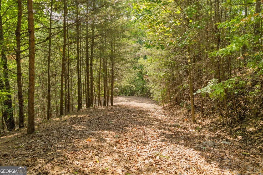 98 Sharp Mountain PKWY Jasper, GA 30143