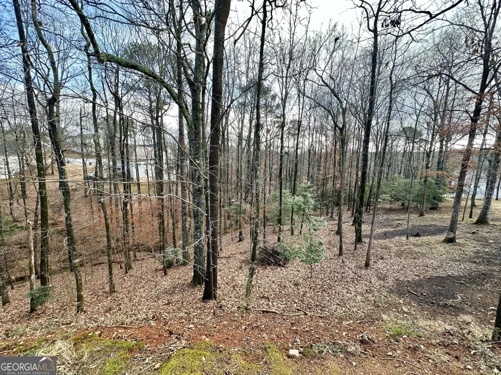 3222 Haleys WAY SE Conyers, GA 30013