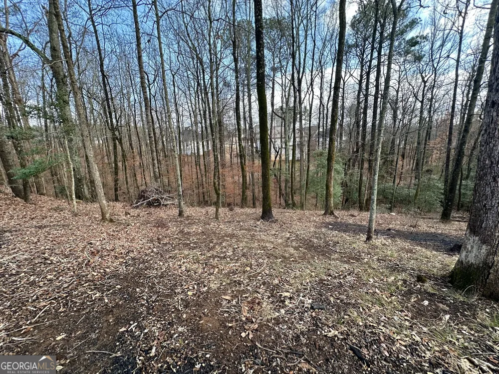 3222 Haleys WAY SE Conyers, GA 30013