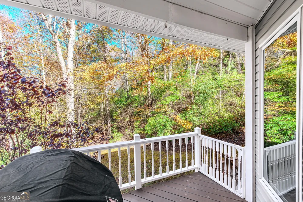 339 Wehunt RD Blue Ridge, GA 30513