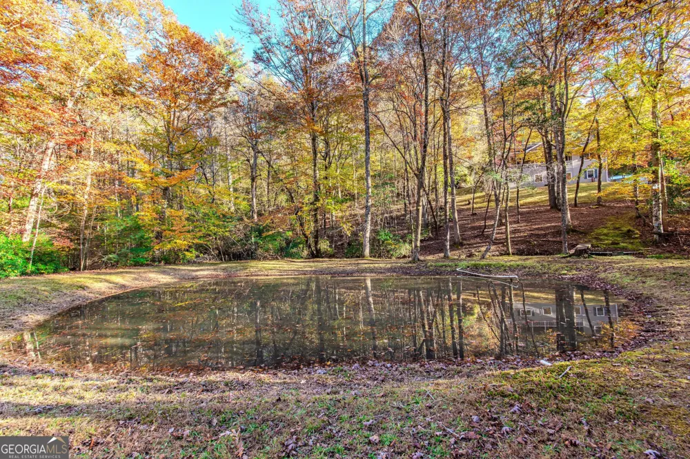 339 Wehunt RD Blue Ridge, GA 30513