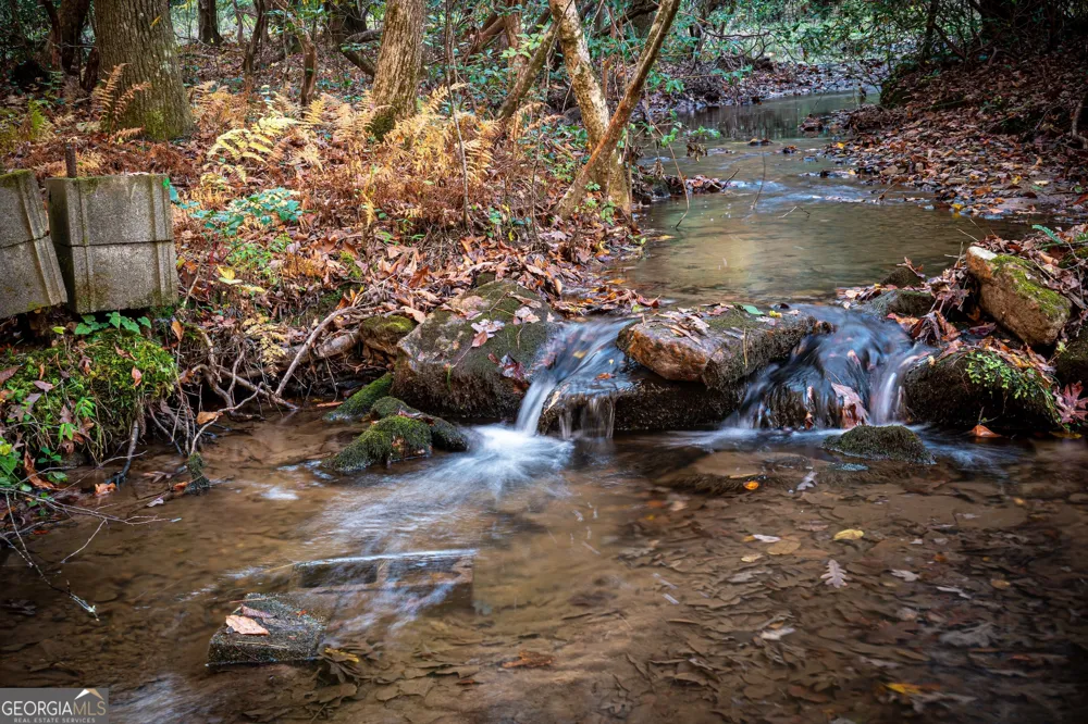 339 Wehunt RD Blue Ridge, GA 30513