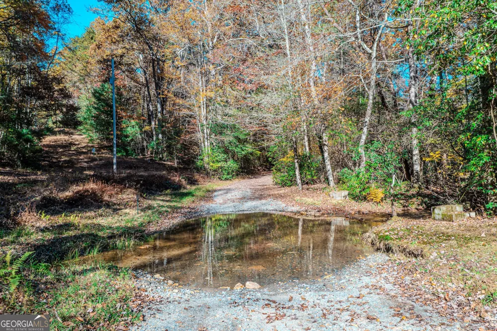 339 Wehunt RD Blue Ridge, GA 30513