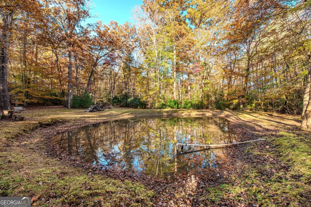 339 Wehunt RD Blue Ridge, GA 30513