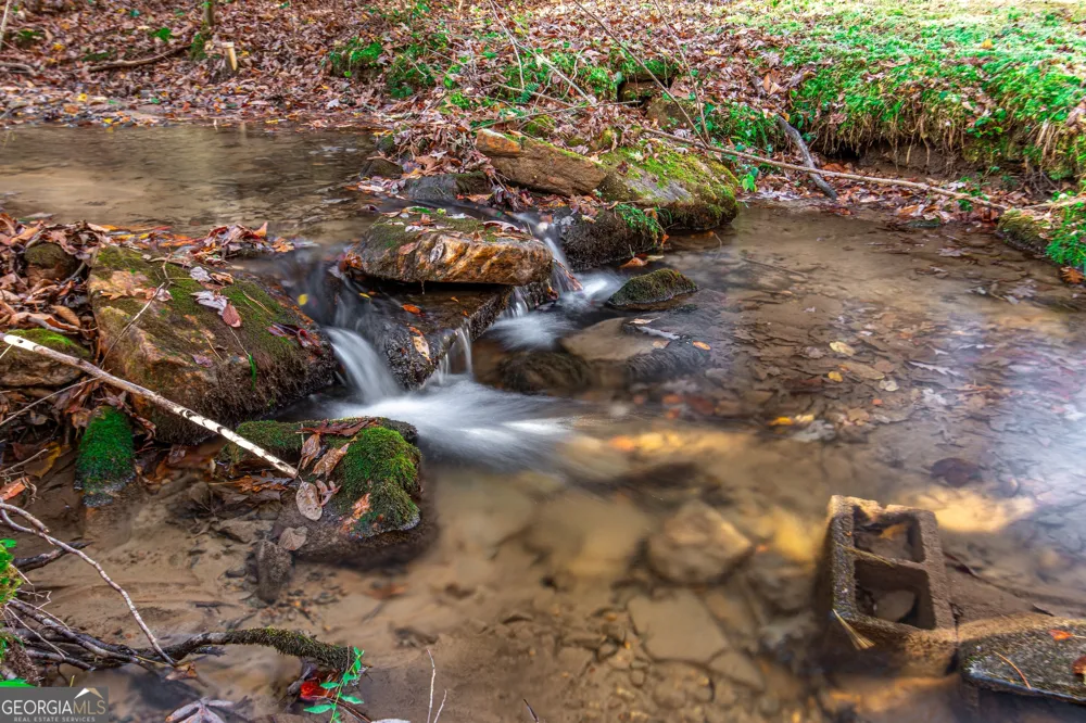 339 Wehunt RD Blue Ridge, GA 30513
