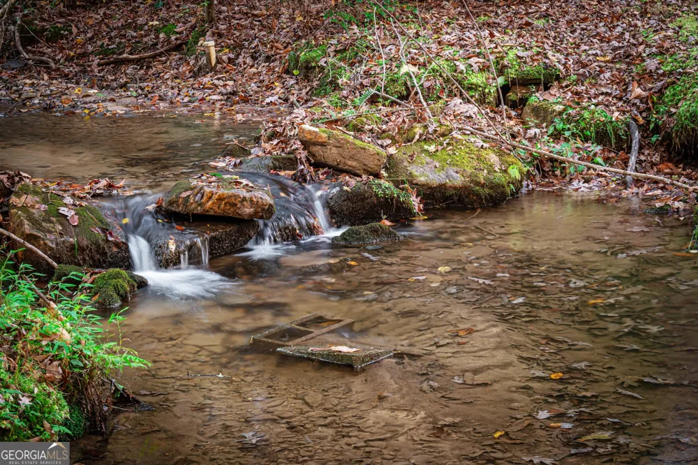 339 Wehunt RD Blue Ridge, GA 30513
