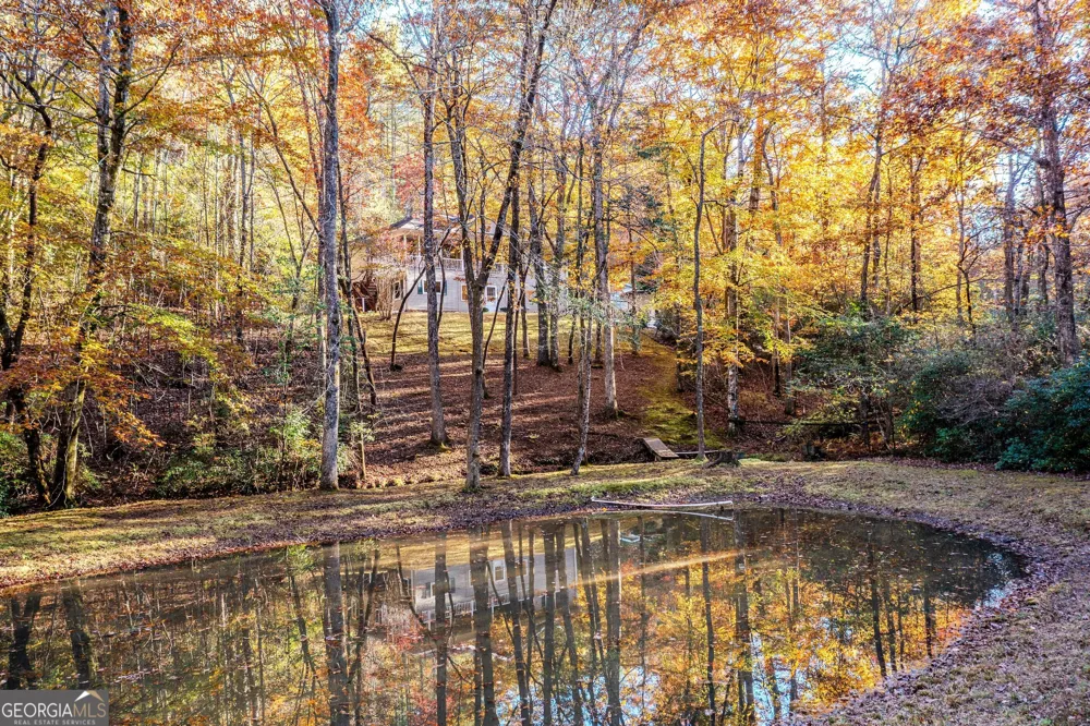 339 Wehunt RD Blue Ridge, GA 30513