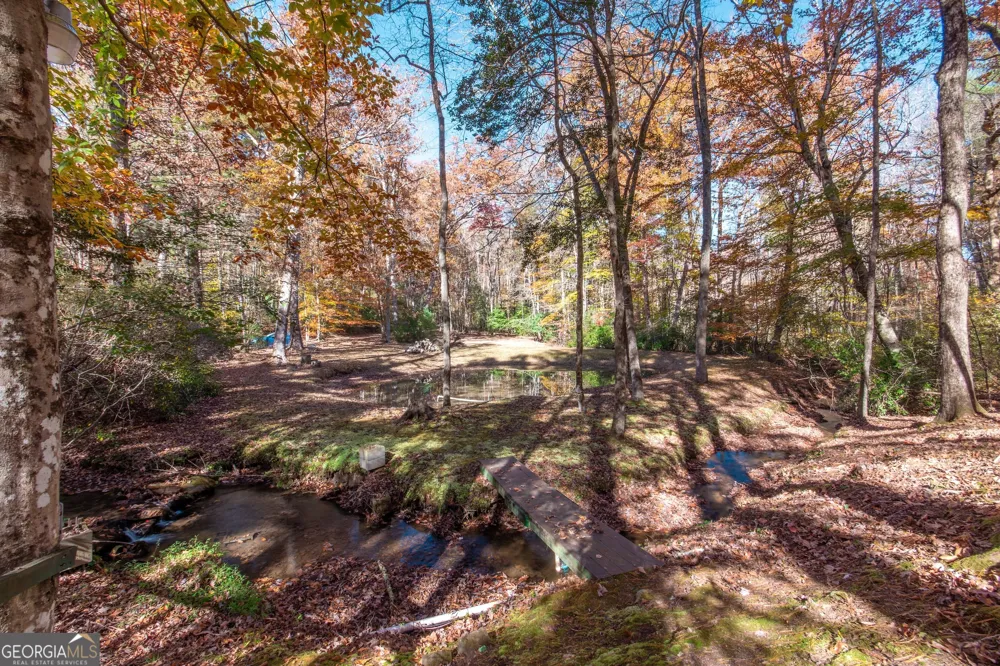 339 Wehunt RD Blue Ridge, GA 30513