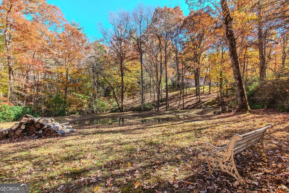 339 Wehunt RD Blue Ridge, GA 30513