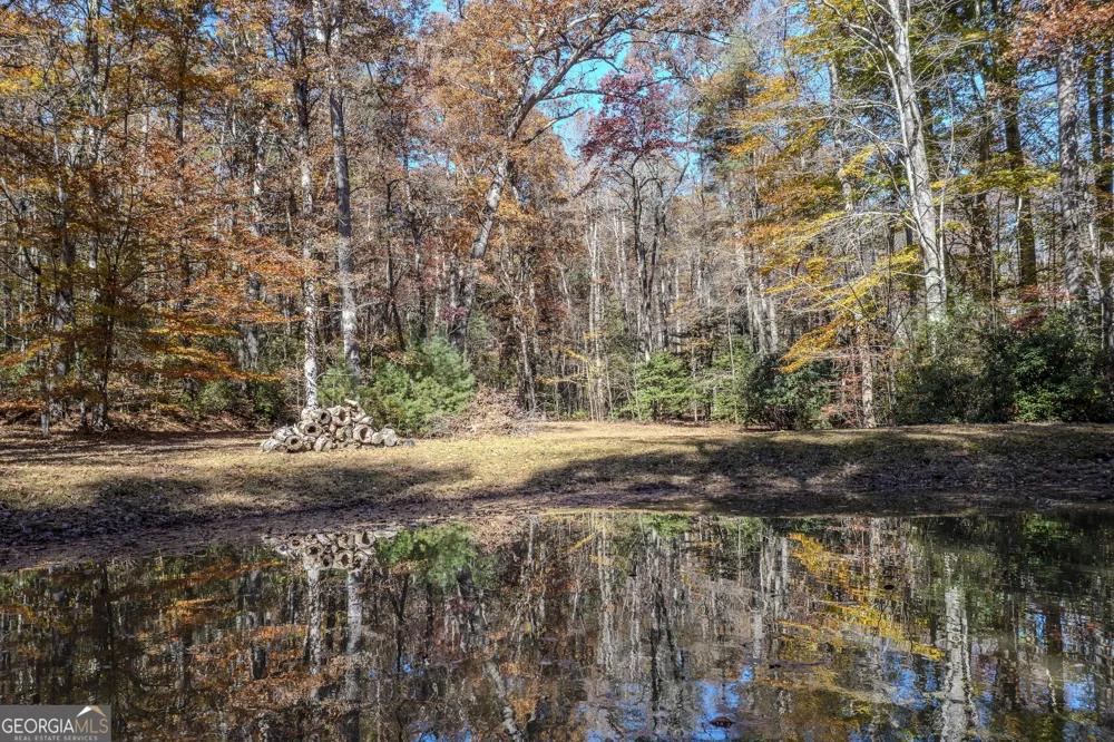 339 Wehunt RD Blue Ridge, GA 30513