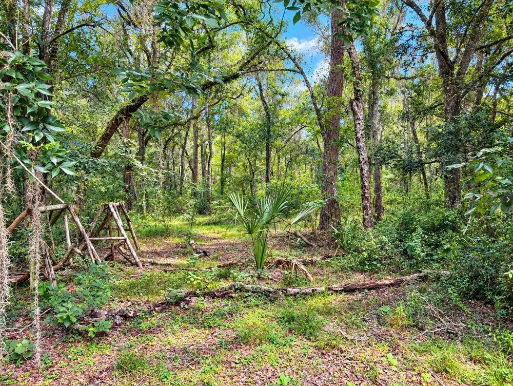 20327 POWELL ROAD Brooksville, FL 34604