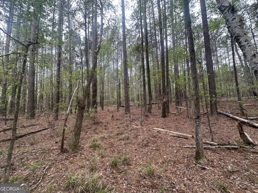 0 Fred Chance RD Perkins, GA 30442