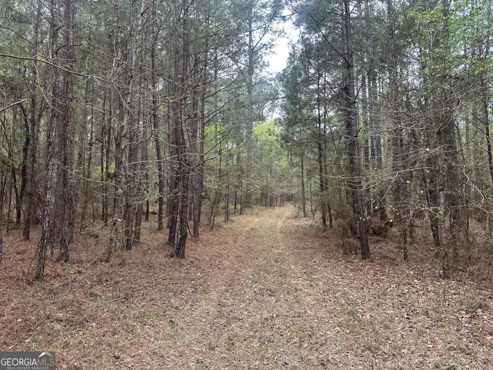 0 Fred Chance RD Perkins, GA 30442
