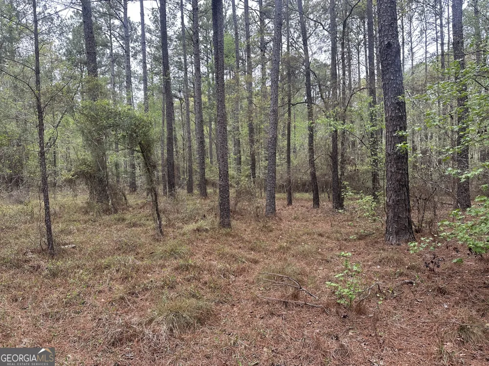 0 Fred Chance RD Perkins, GA 30442