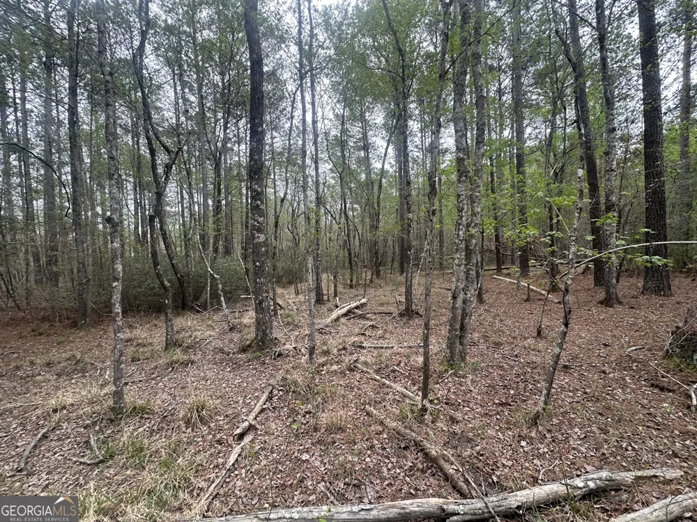 0 Fred Chance RD Perkins, GA 30442