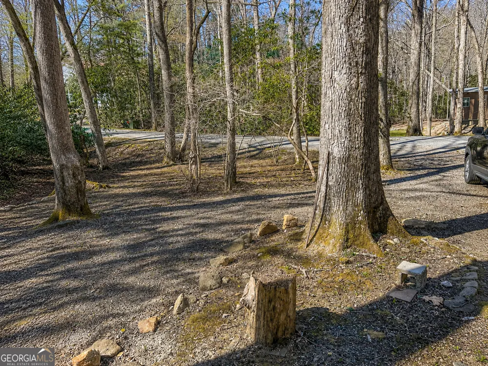 480 Wahu Hu DR Hiawassee, GA 30546