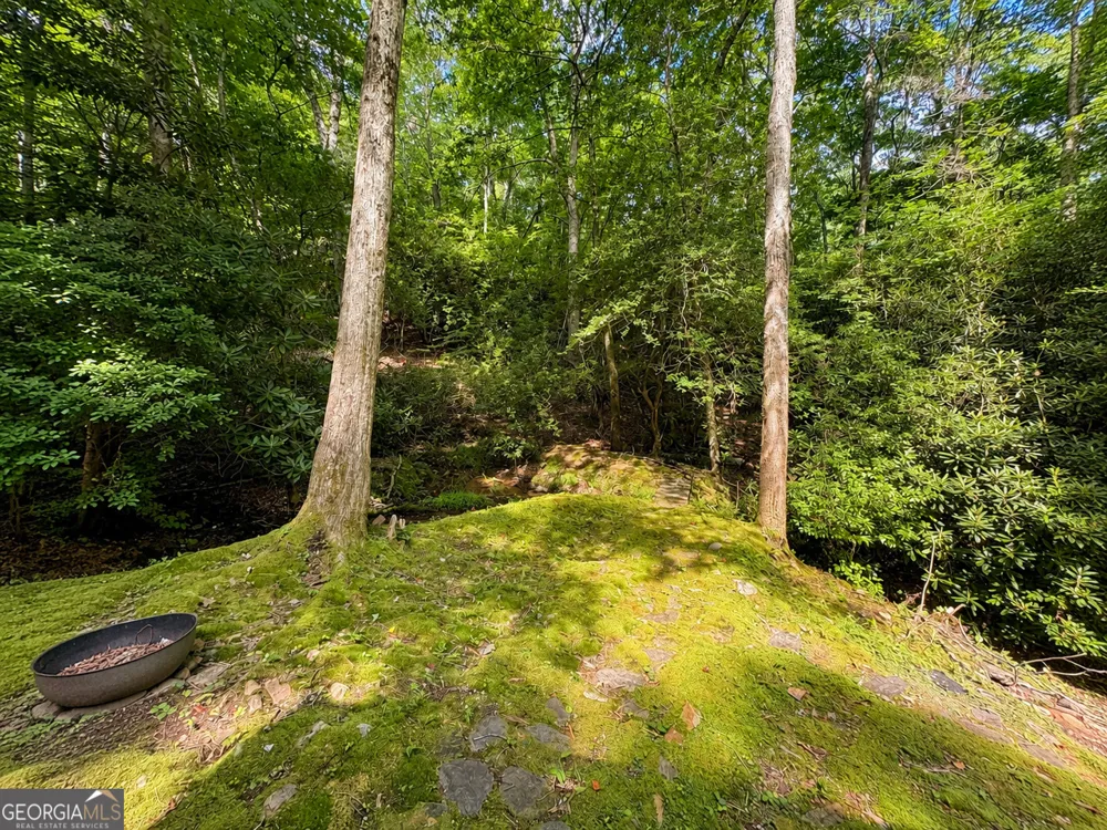 480 Wahu Hu DR Hiawassee, GA 30546