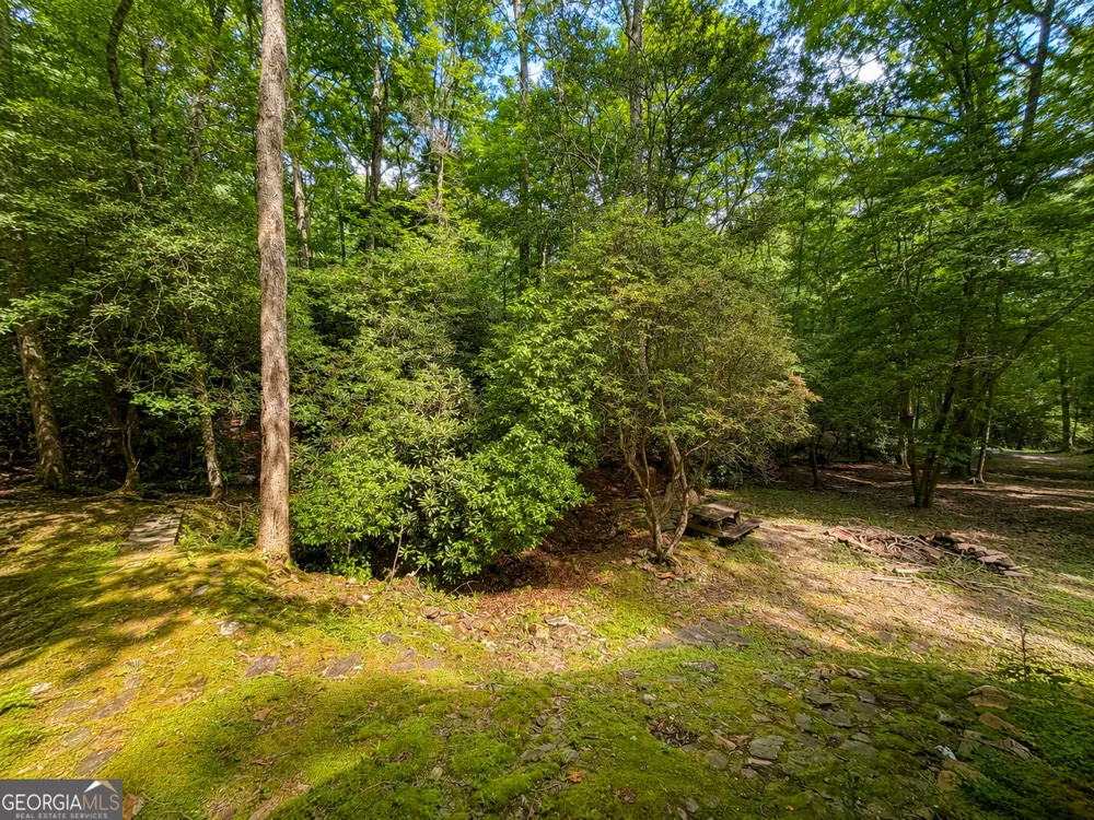 480 Wahu Hu DR Hiawassee, GA 30546
