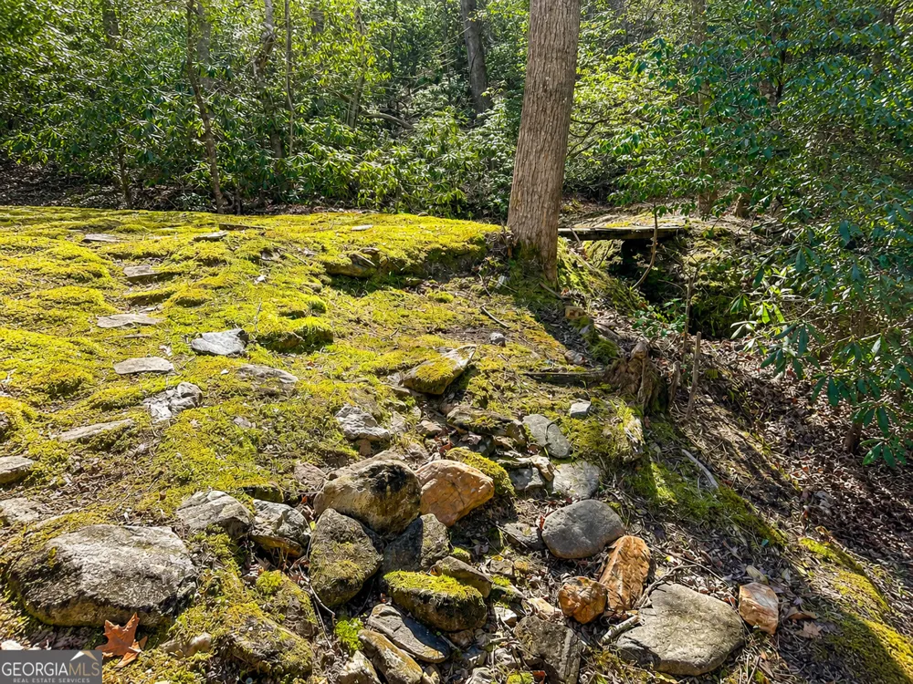 480 Wahu Hu DR Hiawassee, GA 30546