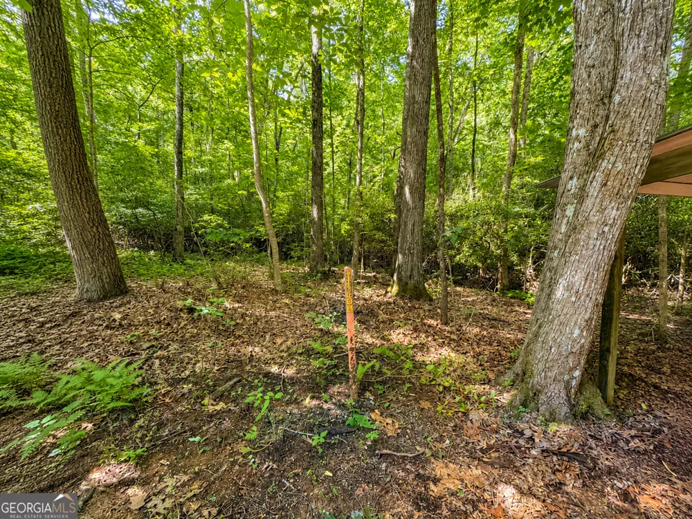 480 Wahu Hu DR Hiawassee, GA 30546