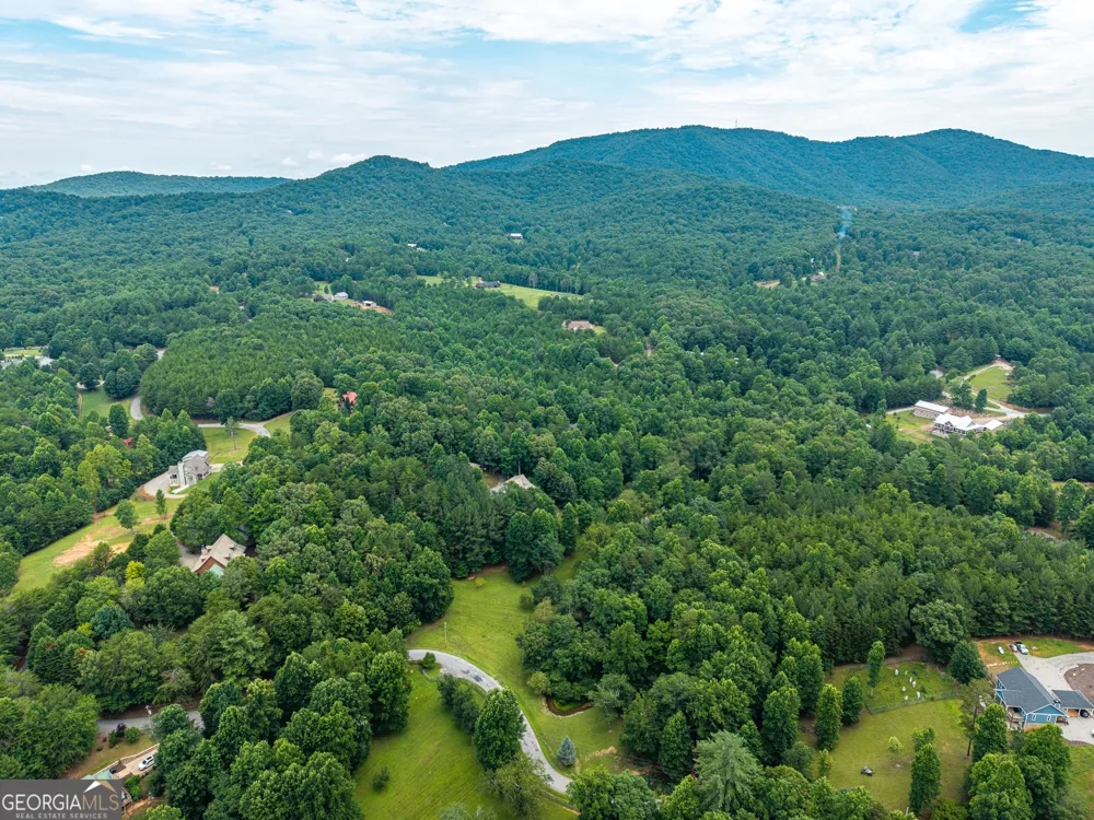1347 Ivylog DR Blairsville, GA 30512