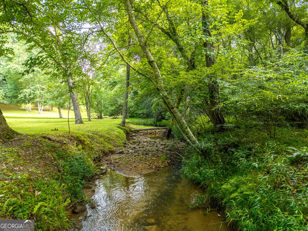 1347 Ivylog DR Blairsville, GA 30512