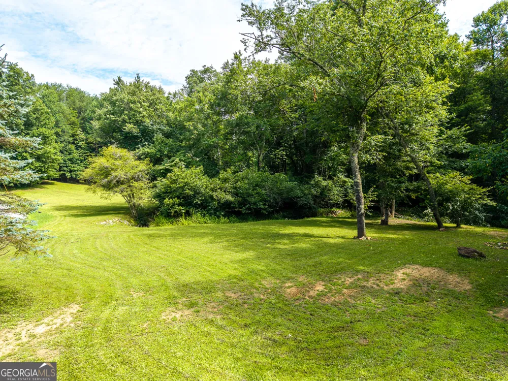 1347 Ivylog DR Blairsville, GA 30512
