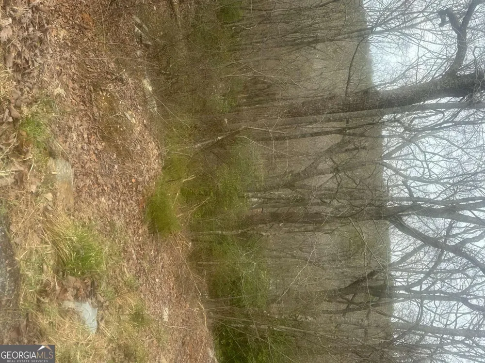 0 Mulberry CT Jasper, GA 30143