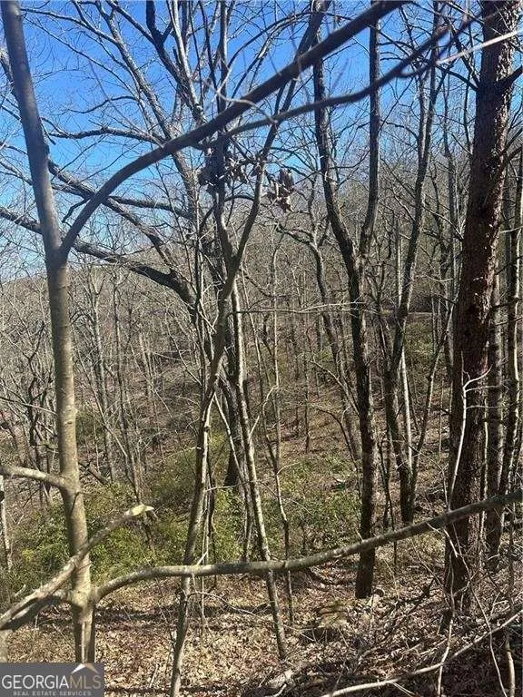 0 Mulberry CT Jasper, GA 30143