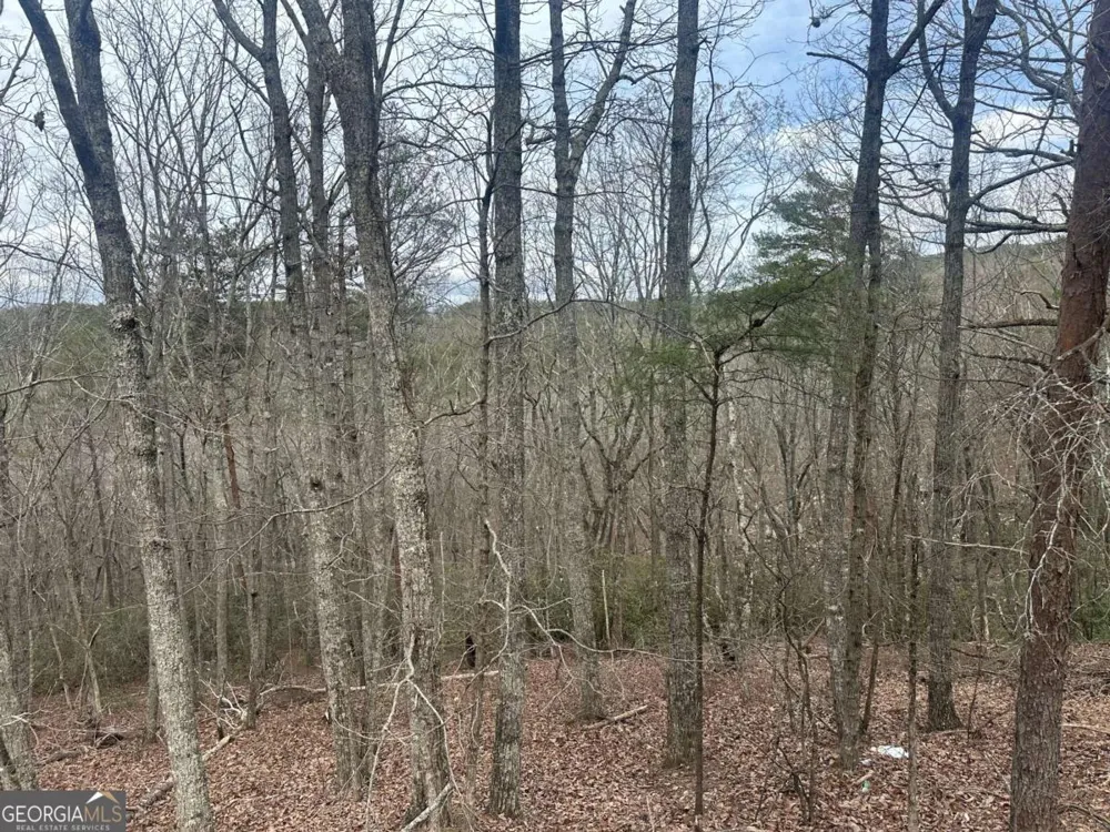 0 Mulberry CT Jasper, GA 30143