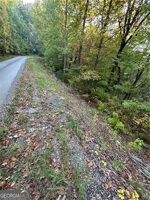 0 Mulberry CT Jasper, GA 30143