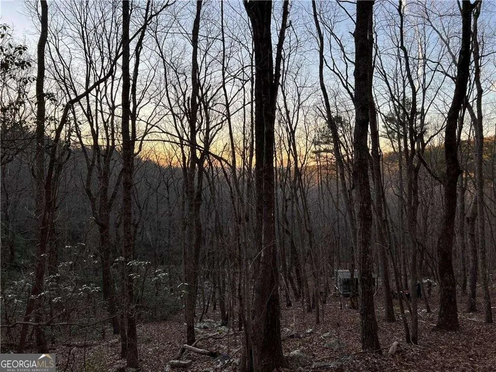 0 Mulberry CT Jasper, GA 30143