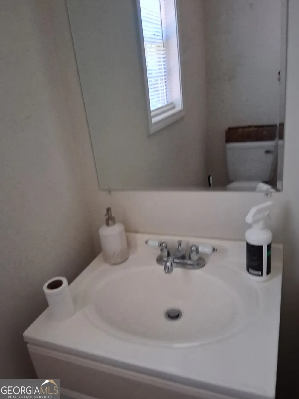 1117 Princeton Park DR Lithonia, GA 30058