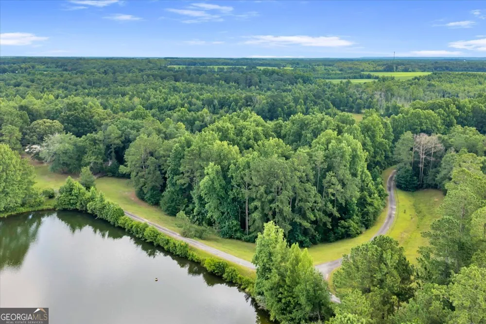 1060 COOKS MILL Road Oglethorpe, GA 31068
